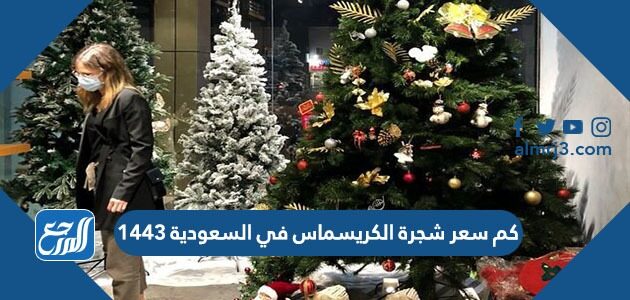 كم سعر شجرة الكريسماس في السعودية 1443