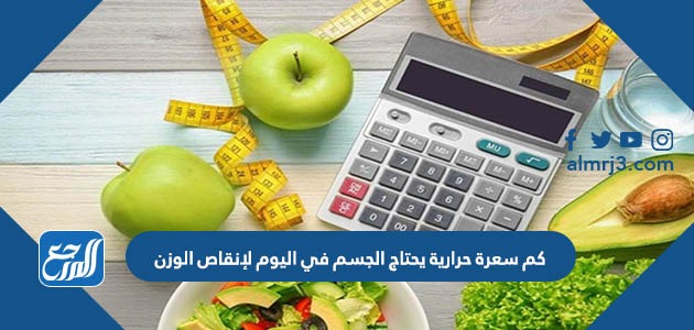 كم سعرة حرارية يحتاج الجسم في اليوم لإنقاص الوزن
