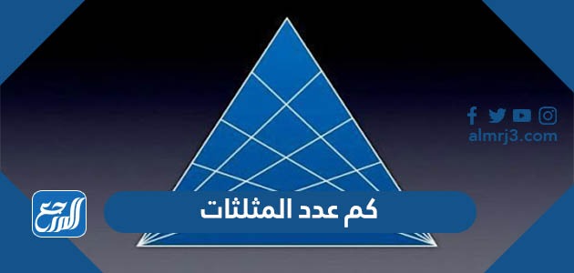 كم عدد المثلثات في الصورة