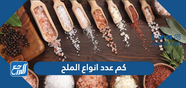 كم عدد انواع الملح