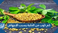 كم كوب من الحلبة يسبب الإجهاض وفوائد وأضرار الحلبة على الصحة
