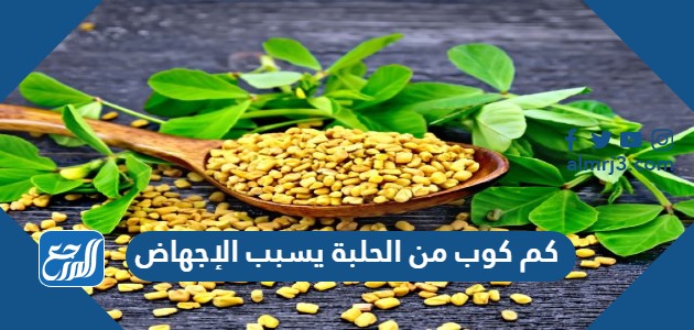 كم كوب من الحلبة يسبب الإجهاض