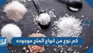 كم نوع من انواع الملح موجوده
