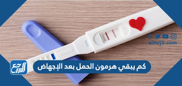 كم يبقى هرمون الحمل بعد الإجهاض