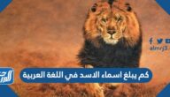 كم يبلغ اسماء الاسد في اللغة العربية