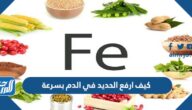 كيف ارفع الحديد في الدم بسرعة