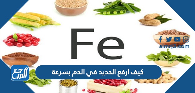 كيف ارفع الحديد في الدم بسرعة