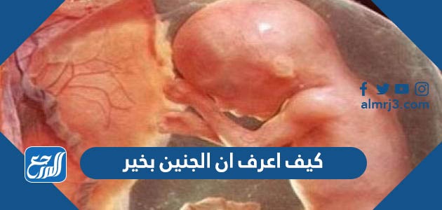 كيف اعرف ان الجنين بخير