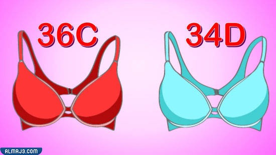 كيف اعرف مقاس الستيان بالحروف