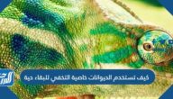 كيف تستخدم الحيوانات خاصية التخفي للبقاء حية
