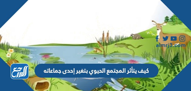 كيف يتأثر المجتمع الحيوي بتغير إحدى جماعاته