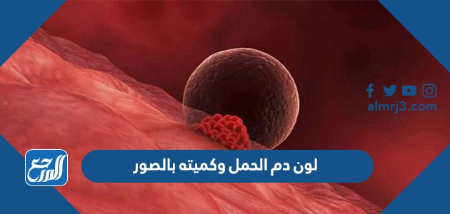 لون دم الحمل وكميته بالصور