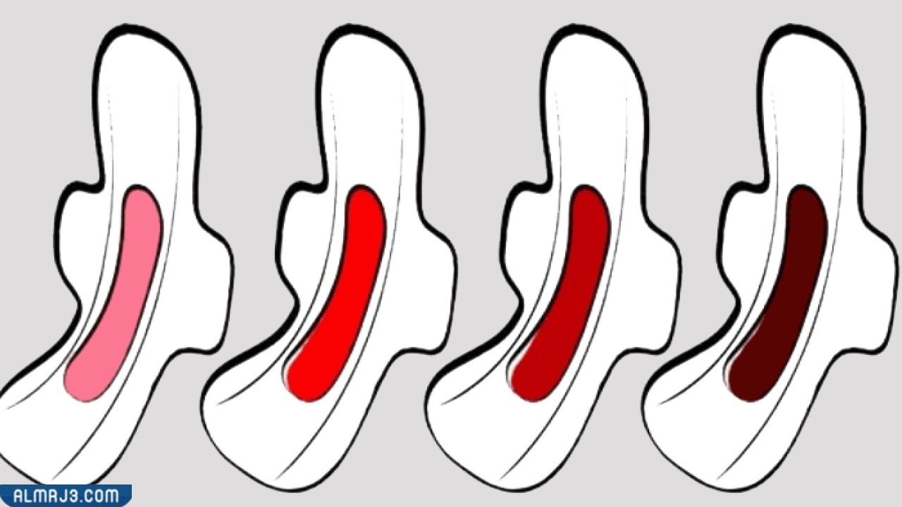 لون دم الحمل وكميته بالصور2