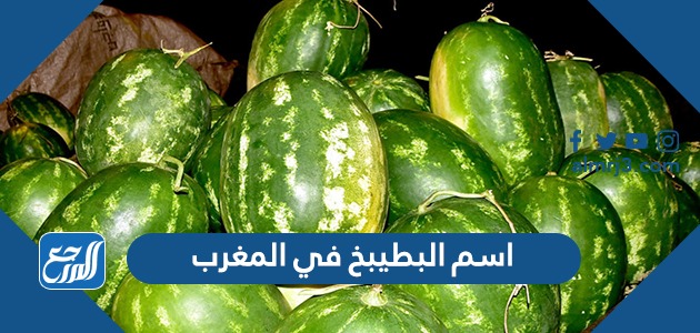 ما اسم البطيخ في المغرب