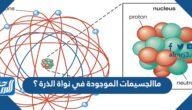 ما الجسيمات الموجودة في نواة الذرة؟