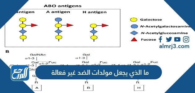 المناعه الاصطناعيه هي مناعه تحدث عندما تاتي الاجسام المضاده من مصدر اخر