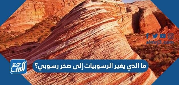 يمكن تصنيف الصخور الرسوبية إلى