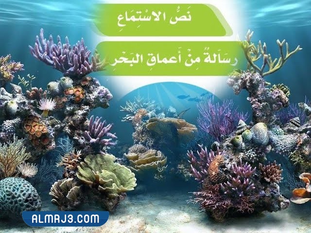 ما الرسالة التي أرسلتها الأسماك للإنسان؟