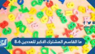 ما القاسم المشترك الأكبر للعددين 6،8