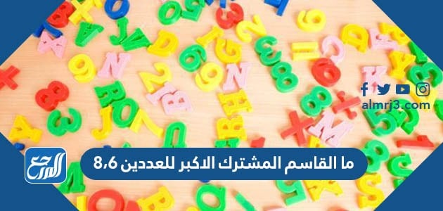 4 القاسم و المشترك الاكبر للعددين 6 حل سؤال