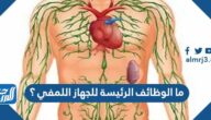 ما الوظائف الرئيسة للجهاز اللمفي ؟