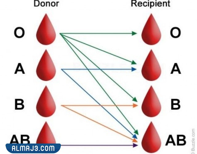 ما فصيلة الدم التي يطلق عليها المانح العام