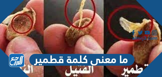 ما معنى كلمة قطمير
