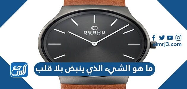 ما هو الشيء الذي ينبض بلا قلب