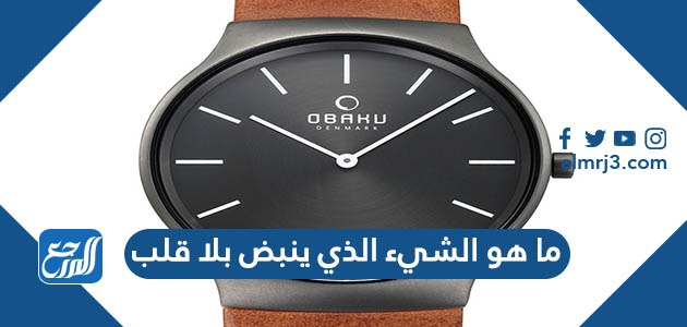 ما هو الشيء الذي ينبض بلا قلب