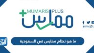 ما هو نظام ممارس في السعودية