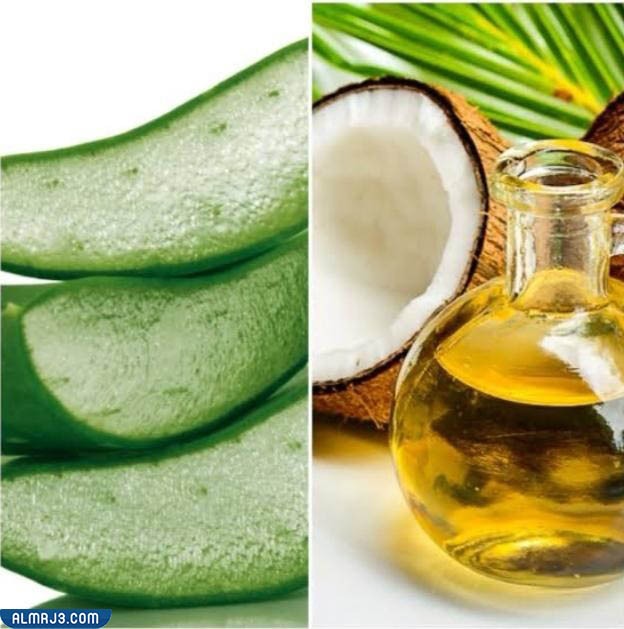 ما هي أفضل الزيوت التي يمكن استخدامها قبل السيشوار