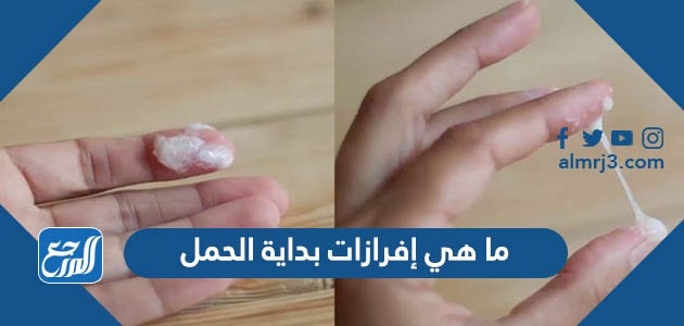 ما هي إفرازات بداية الحمل