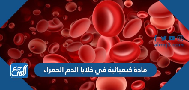 بإنها في خلايا توجد الدم كيميائية تمثل مادة . الهيموجلوبين الحمراء تمثل الهيموجلوبين