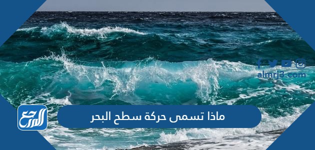 ماذا تسمى حركة سطح البحر