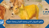 ماهو الحيوان الذي وصفه القران وصفا دقيقا