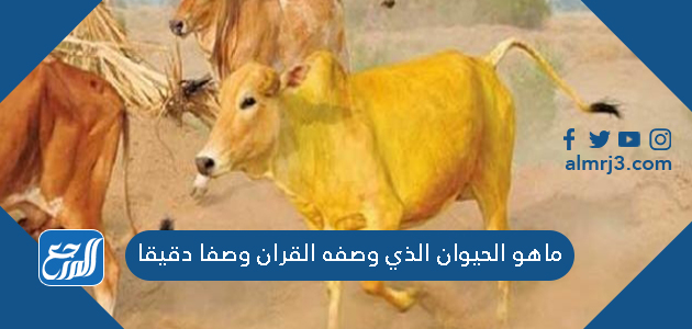 ماهو الحيوان الذي وصفه القران وصفا دقيقا
