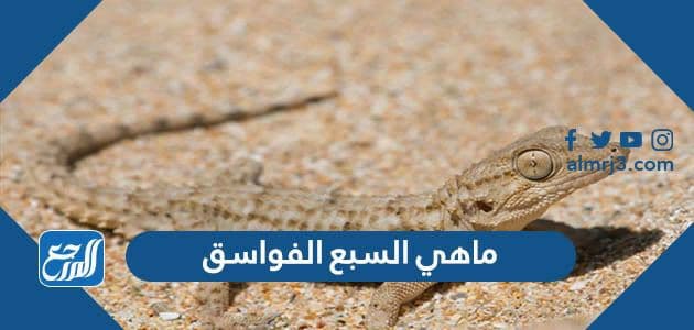 ماهي السبع الفواسق