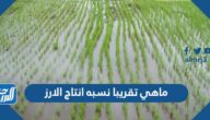 ماهي تقريبا نسبه انتاج الارز