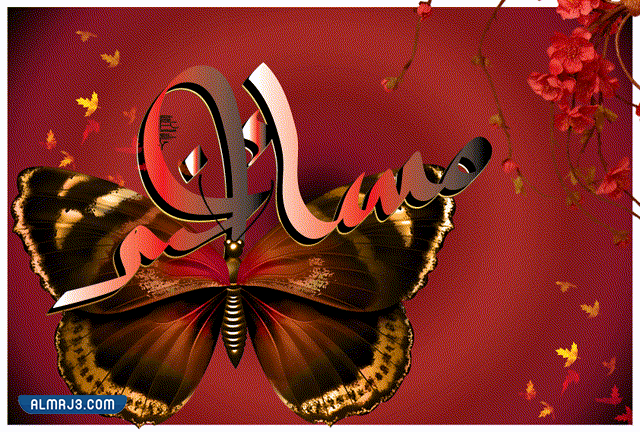 مساء الخير gif