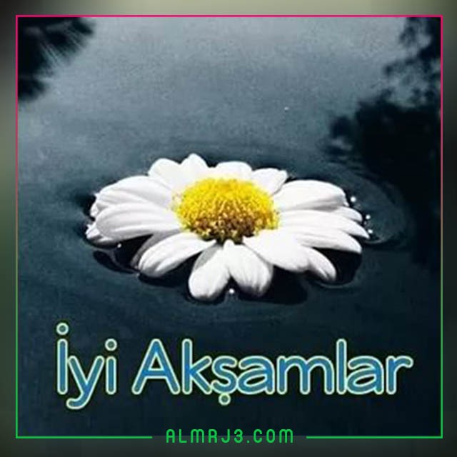 مساء الخير بالتركي تويتر