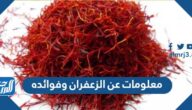 معلومات عن الزعفران وفوائده