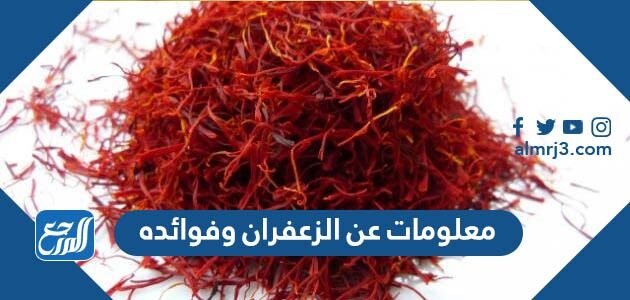 معلومات عن الزعفران وفوائده