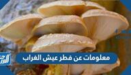 معلومات عن فطر عيش الغراب