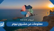معلومات عن مشروع نيوم