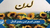 معنى اسم لدن بضم الدال