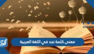 معنى كلمة نجد في اللغة العربية