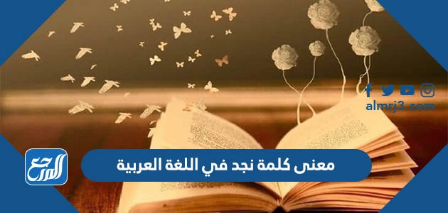معنى كلمة نجد في اللغة العربية