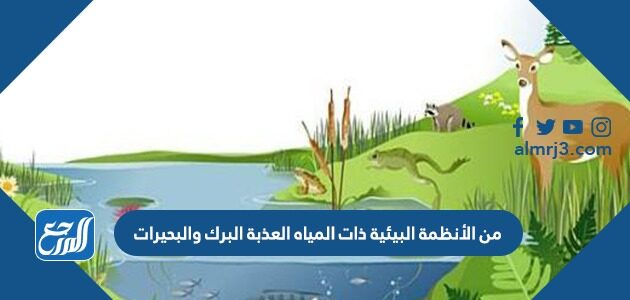 تعتبر البرك والبحيرات من أهم الأنظمة البيئية المائية