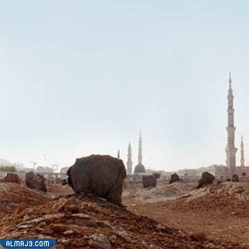 من هو الشيخ صالح الزغيبي ويكيبيديا