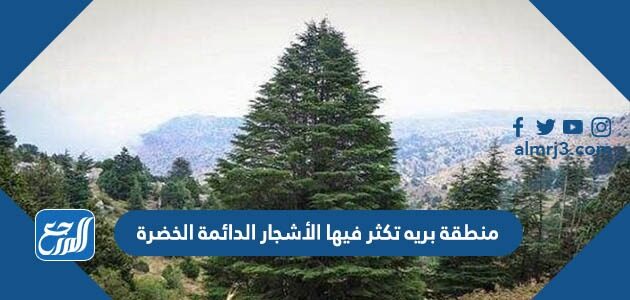 منطقة بريه تكثر فيها الأشجار الدائمة الخضرة